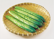 상주 오이 이미지